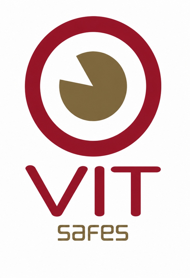 VIT Safes — Cajas Fuertes
